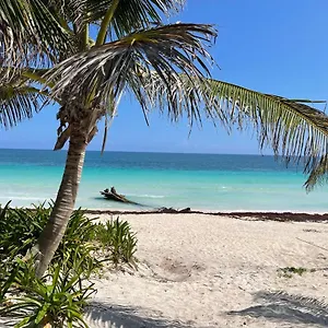 https://casa-phoenix.allrivieramayahotels.com
