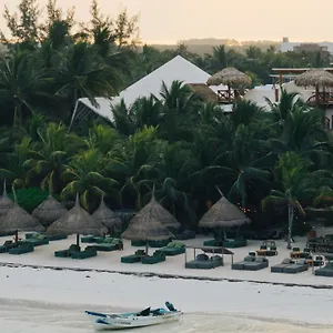 Casa Tortugas Petit & **** ホルボックス島