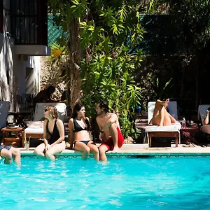 https://art-apart-hostel.hotelsmerida.org