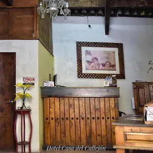 https://hotel-casa-del-callejon.hotelspuebla.com